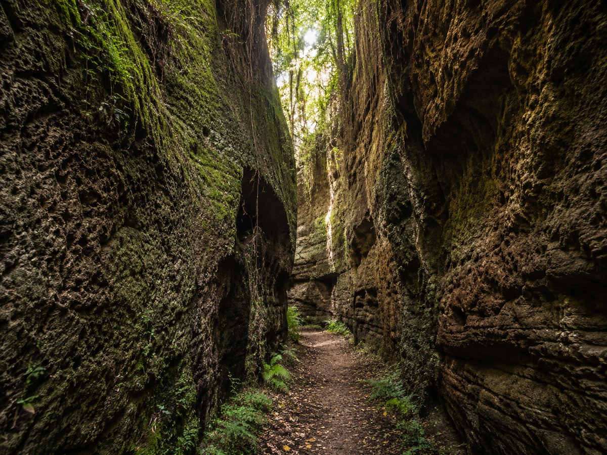 Forre di Corchiano: trekking tra natura, archeologia e pareti di tufo