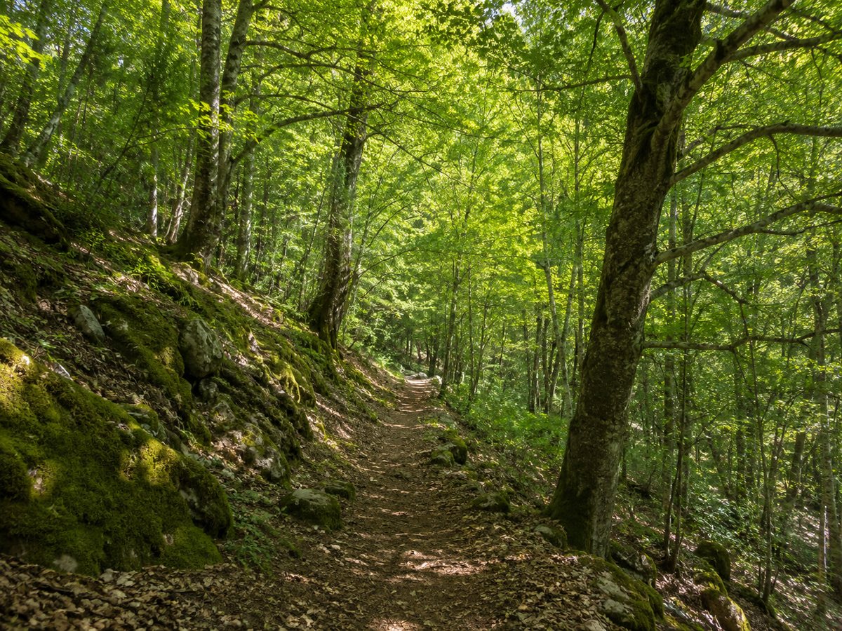 Riserva Naturale Monte Rufeno: sentieri e boschi dell'Alta Tuscia