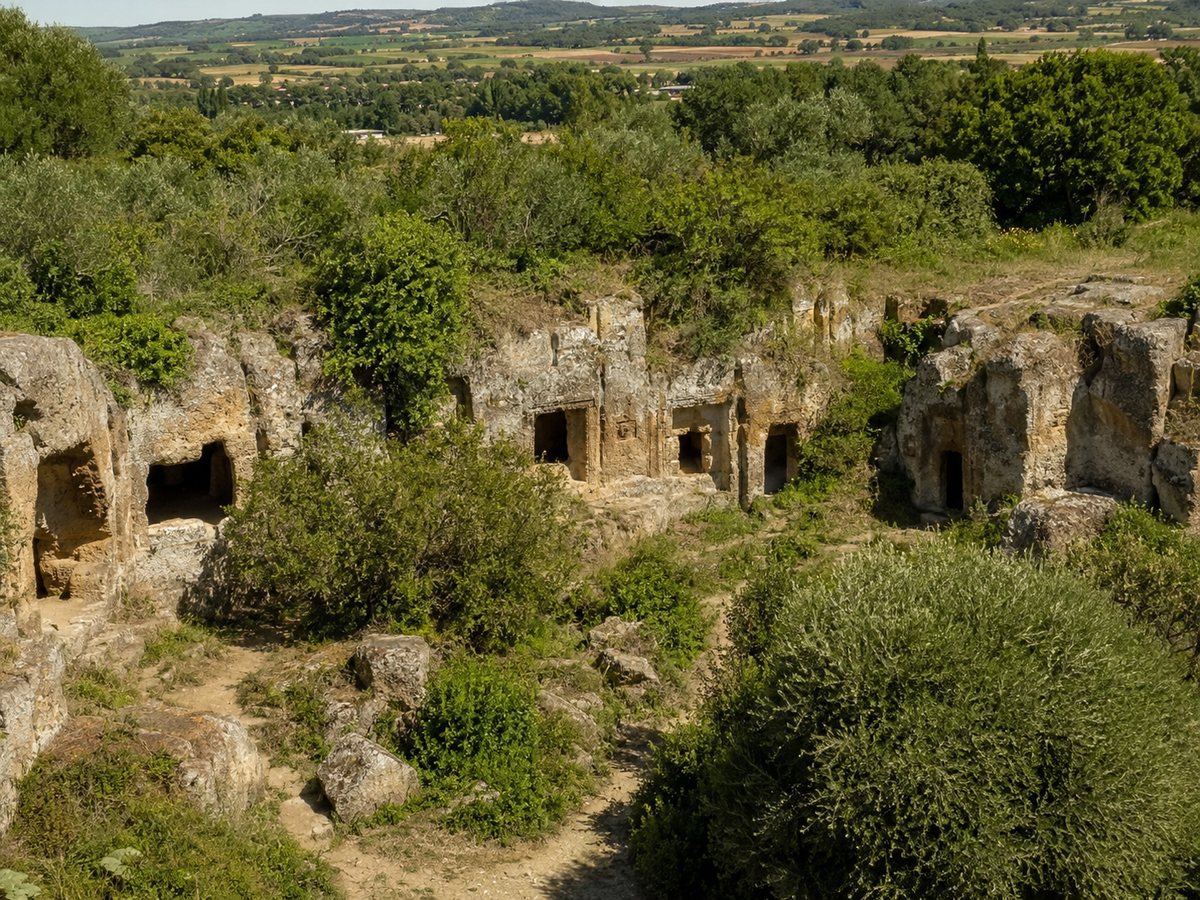 Tuscania etrusca: Madonna dell'Olivo, Grotta della Regina e necropoli della Peschiera