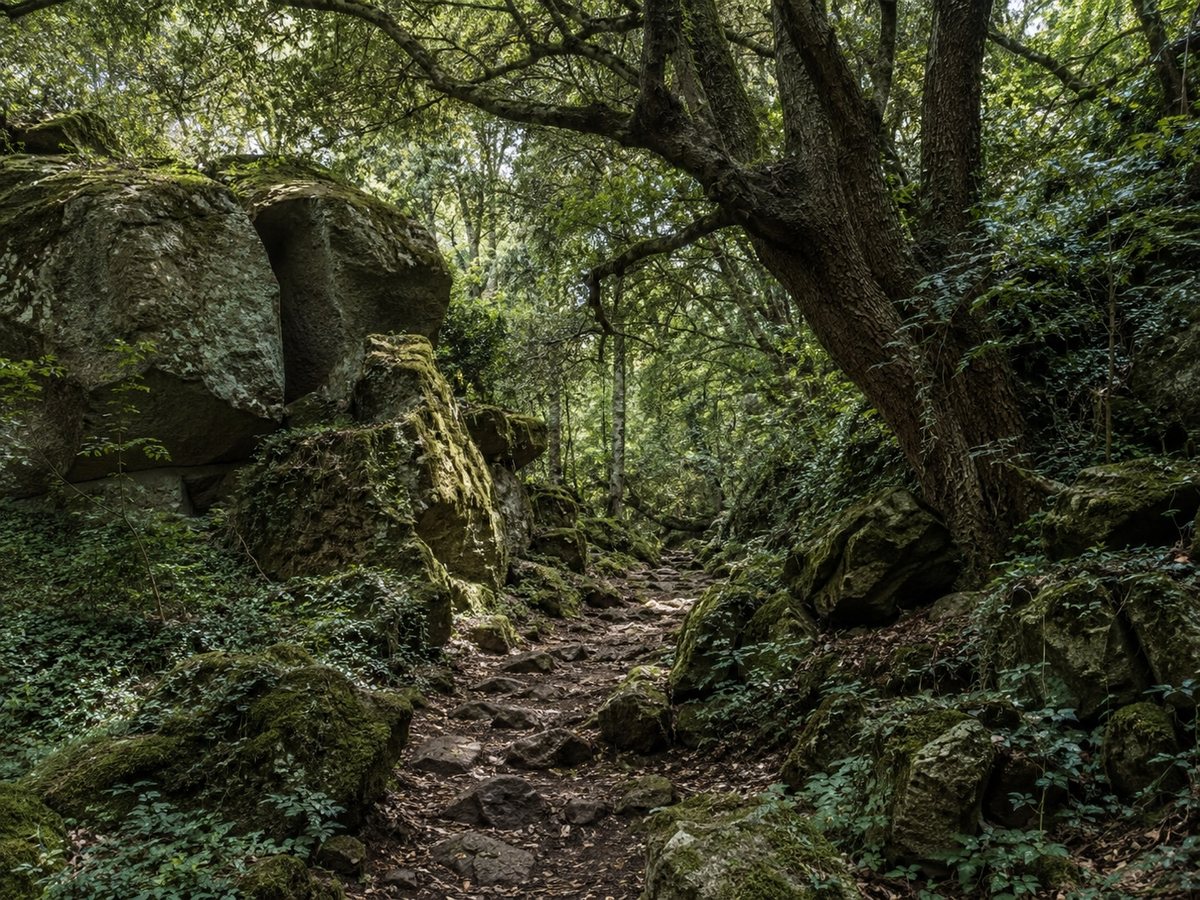 Selva del Lamone: sentieri nella foresta più selvaggia della Tuscia